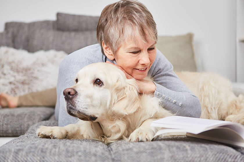 The Benefits Of Animal Therapy For Seniors | Blue Ridge By Discovery ...